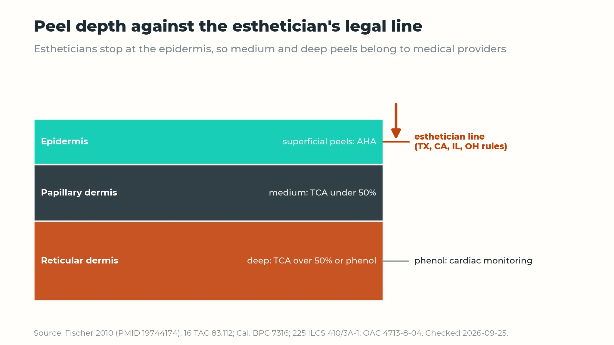 Enhance.work - Blog - chemical peel certification - skin layers showing the esthetician line at the epidermis, with medium and deep peels reaching the dermis